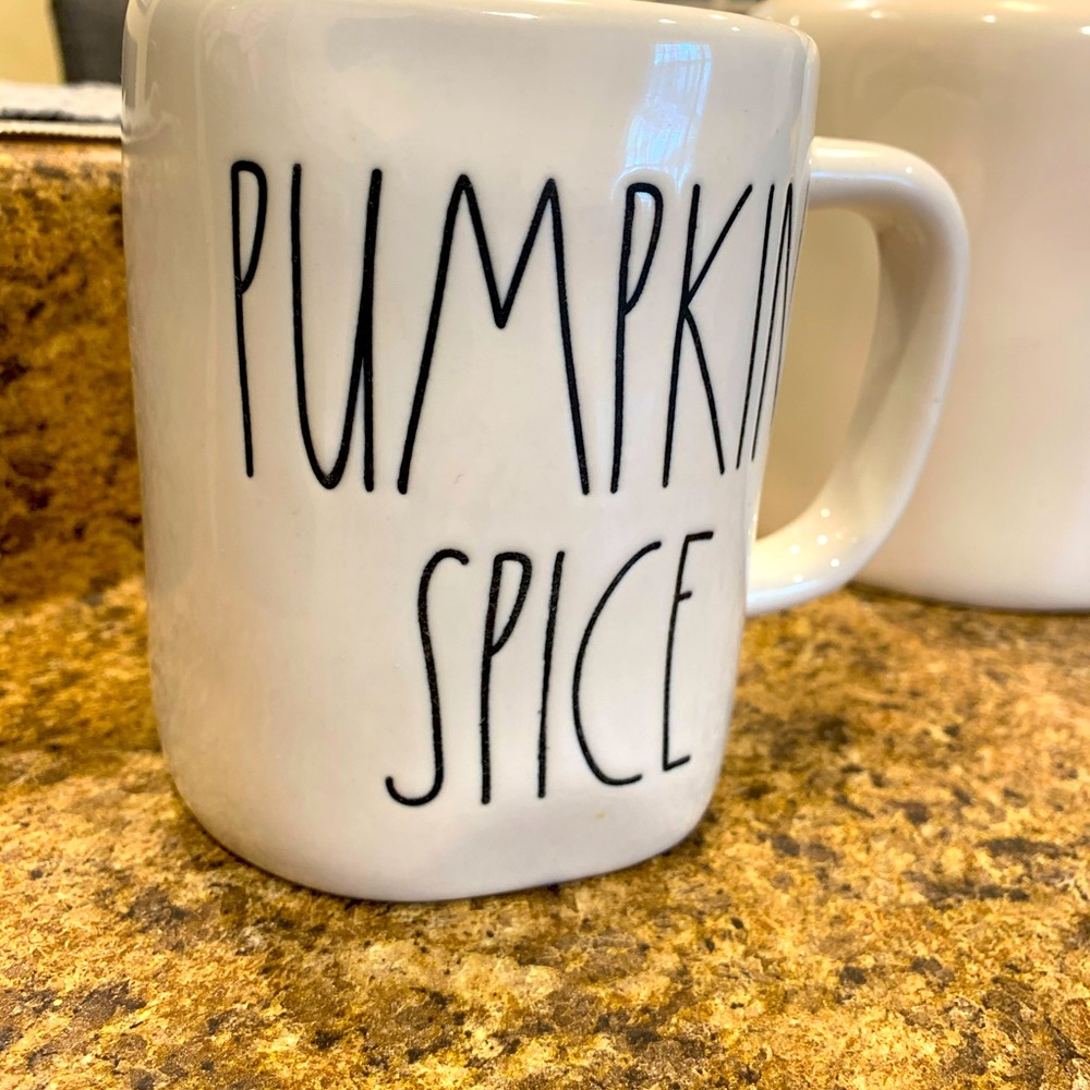 Rae Dunn PUMPKIN SPICE Orange Double Sided Mug HYF